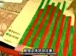 麻省理工公开课中出现活动学习的视频截图