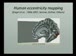 斯坦福公开课中出现human brain的视频截图