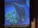 耶鲁公开课中出现rat的视频截图